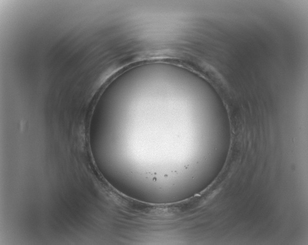 X0000062931457200601271819