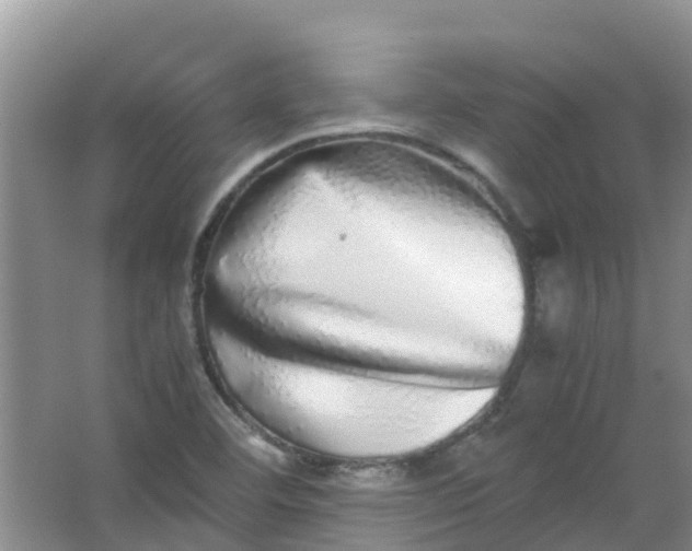 X0000062931460200601271819