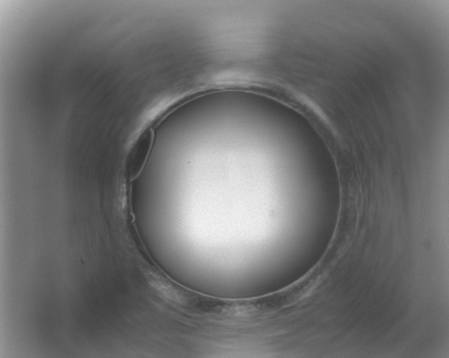 X0000062931461200601271819