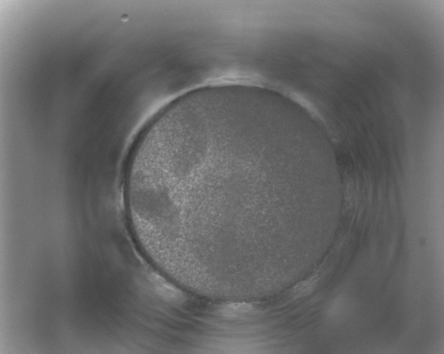 X0000062931462200601271819