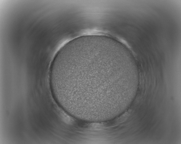 X0000062931463200601271819