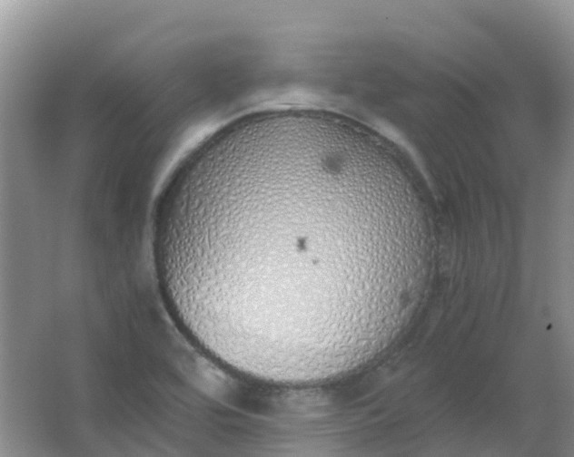 X0000062931464200601271819