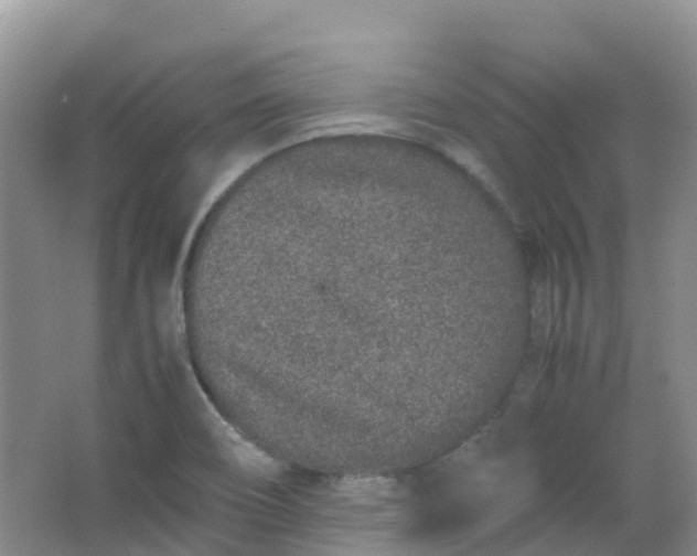 X0000062931466200601271819