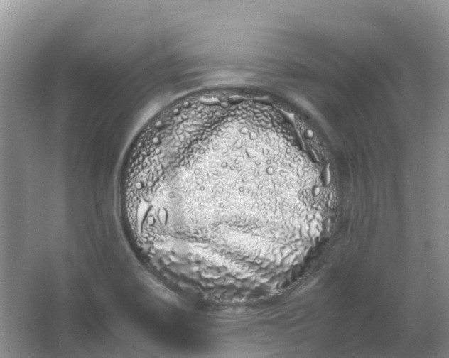 X0000062931467200601271819