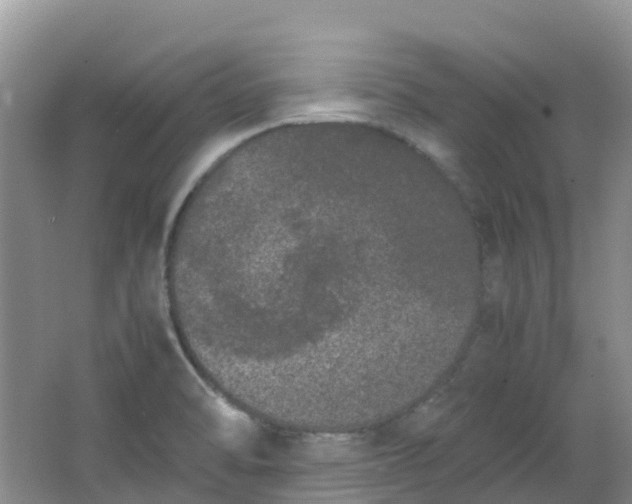 X0000062931470200601271819