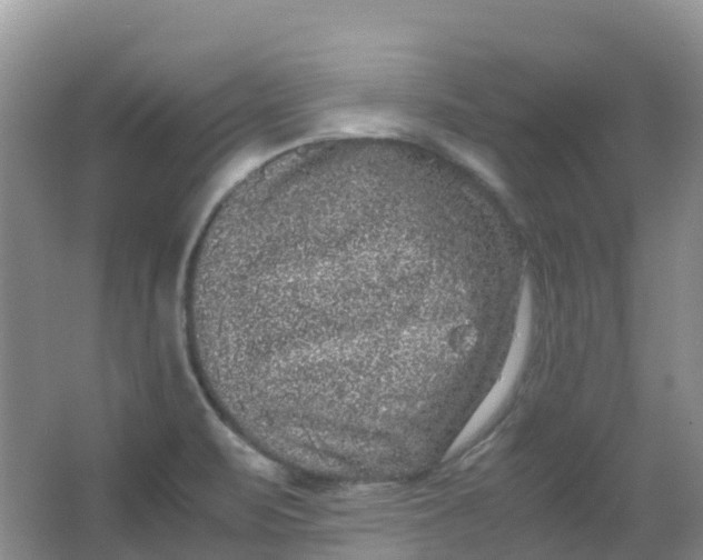 X0000062931471200601271819