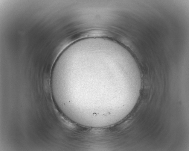 X0000062931473200601271819