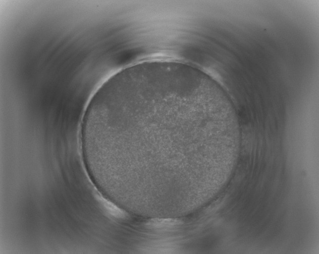 X0000062931474200601271819