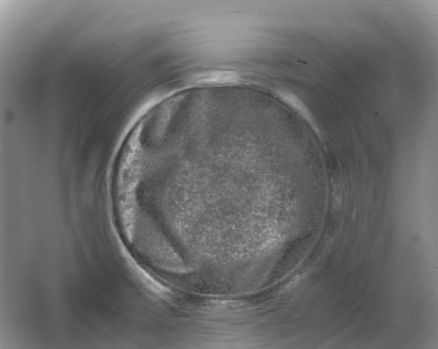 X0000062931475200601271819