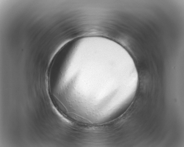 X0000062931476200601271819