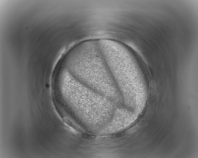 X0000062931477200601271819