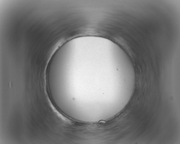 X0000062931479200601271819