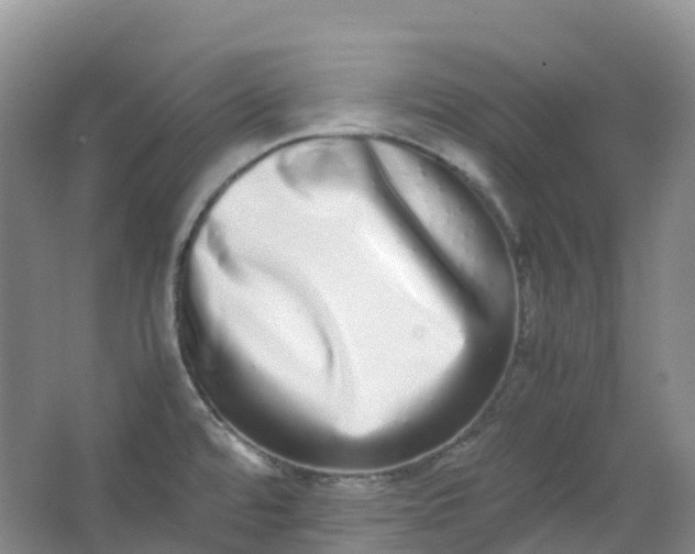 X0000062931480200601271819