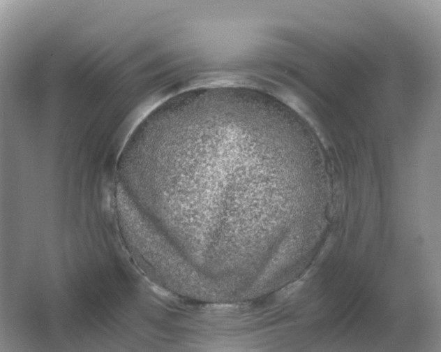 X0000062931481200601271819