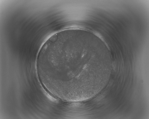 X0000062931482200601271819