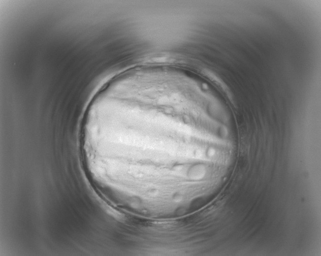 X0000062931483200601271819