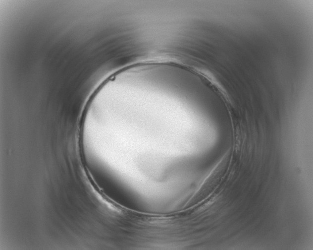 X0000062931484200601271819