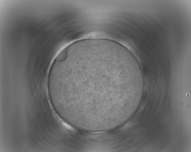 X0000062931486200601271819