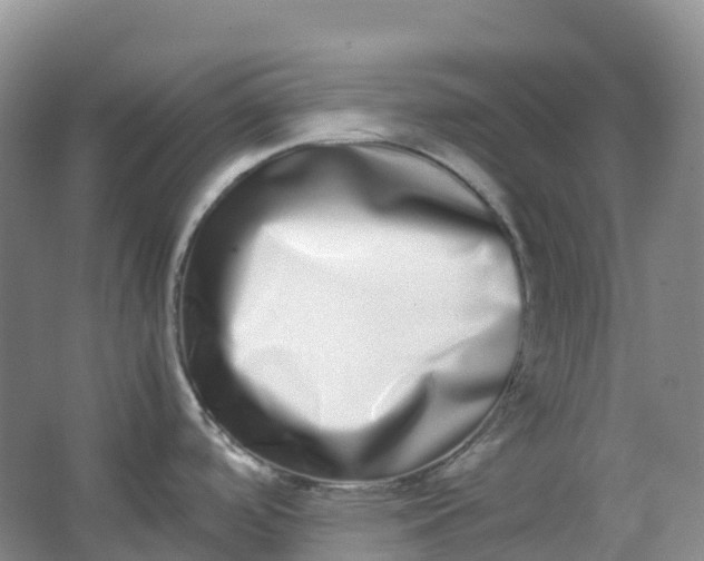 X0000062931488200601271819