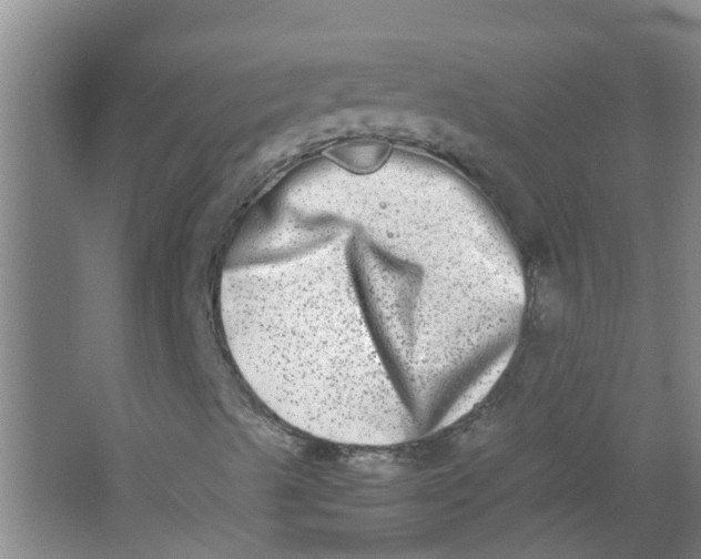 X0000062931489200601271818