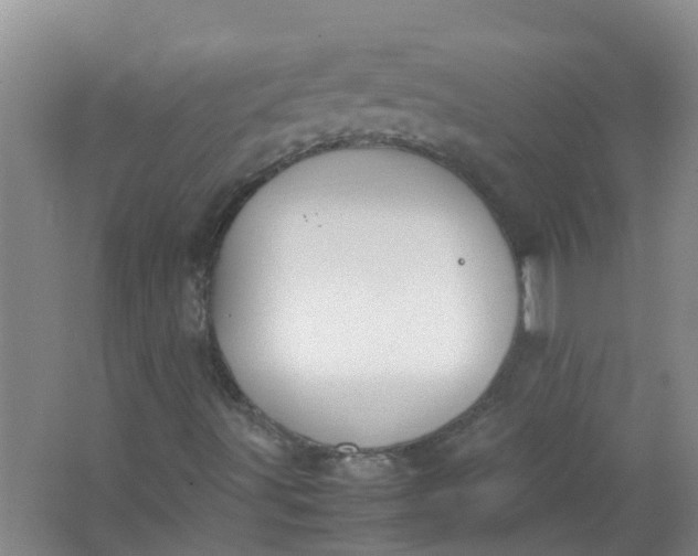 X0000062931491200601271818