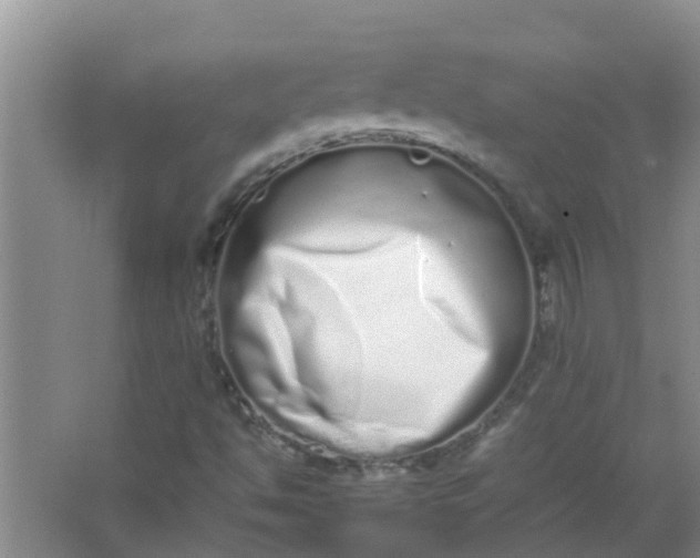 X0000062931494200601271818