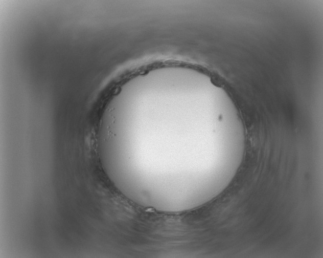 X0000062931495200601271818