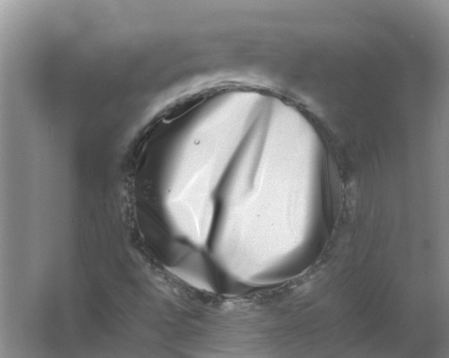 X0000062931496200601271818