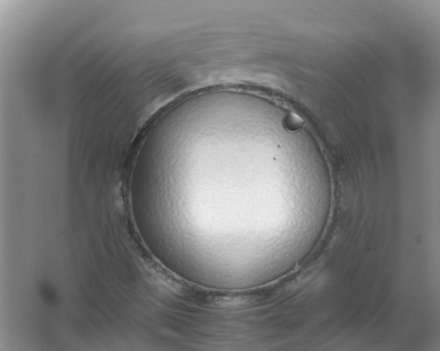 X0000062931497200601271818