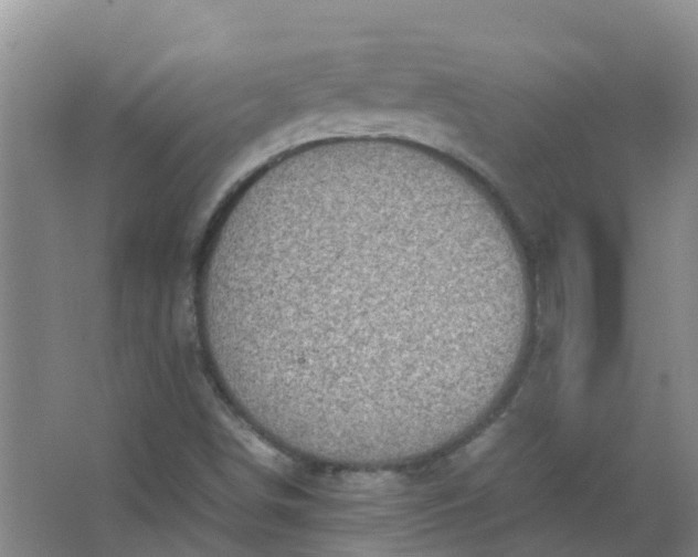 X0000062931498200601271818