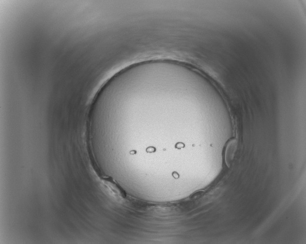 X0000062931500200601271818