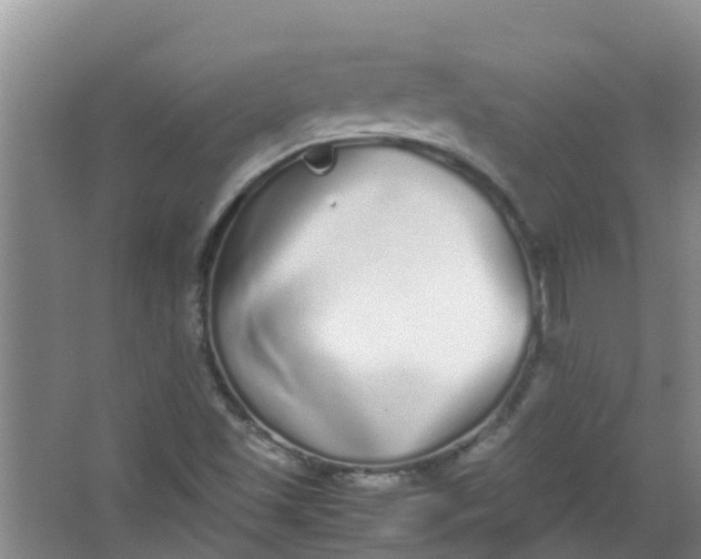 X0000062931501200601271818