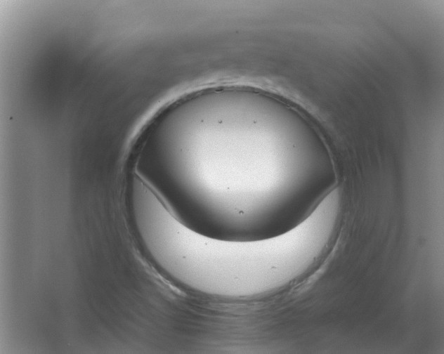 X0000062931502200601271818