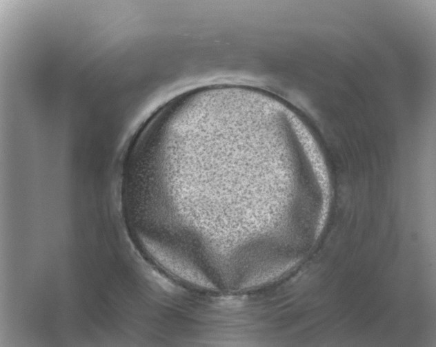 X0000062931504200601271818