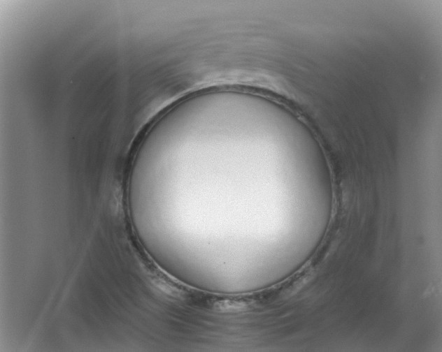 X0000062931505200601271818