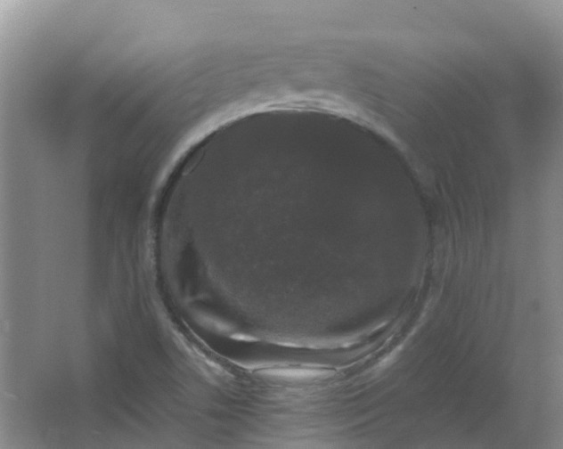 X0000062931506200601271818