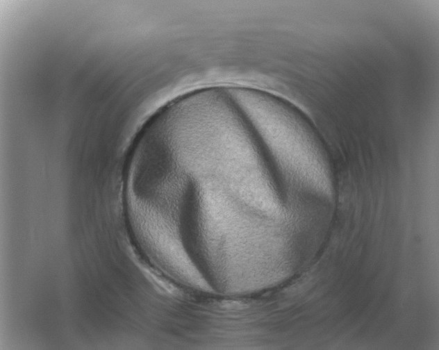 X0000062931507200601271818