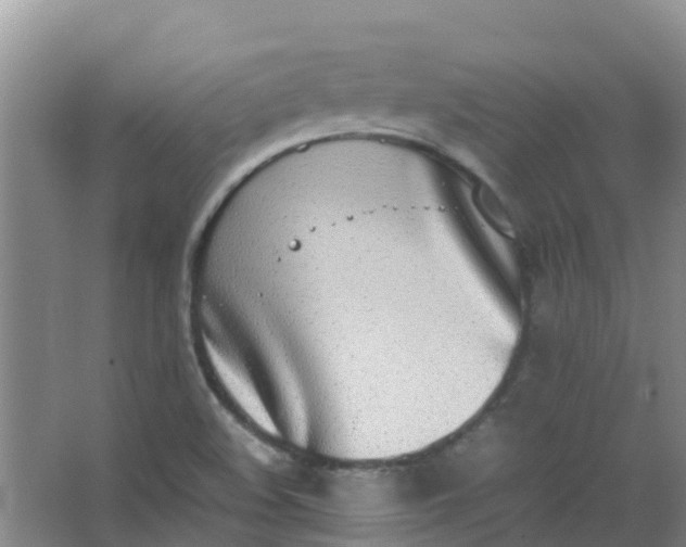 X0000062931508200601271818