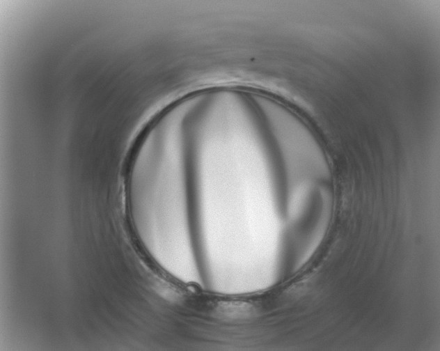 X0000062931509200601271818