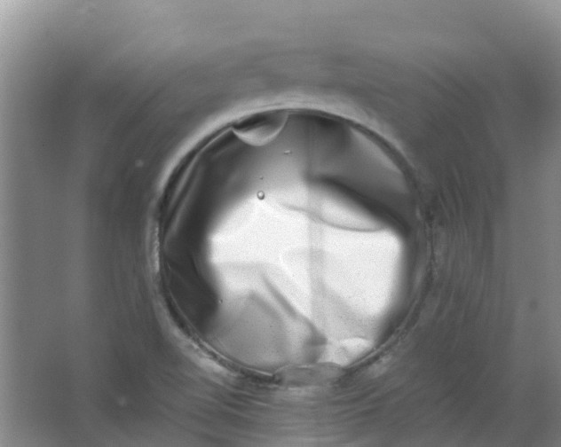 X0000062931510200601271818