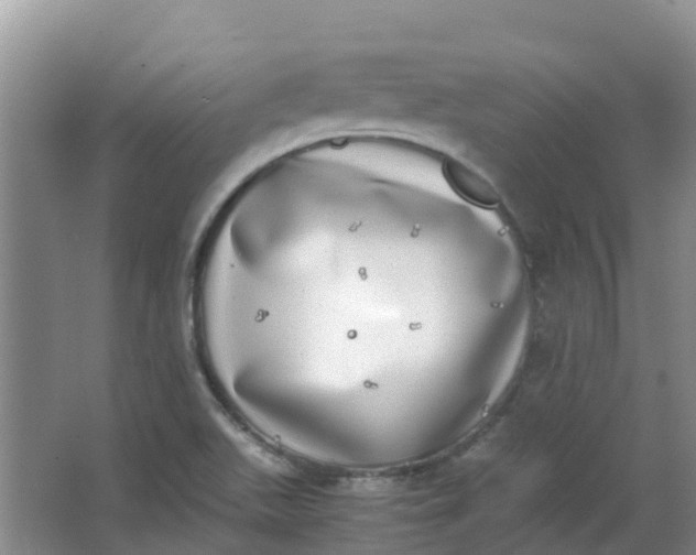 X0000062931511200601271818