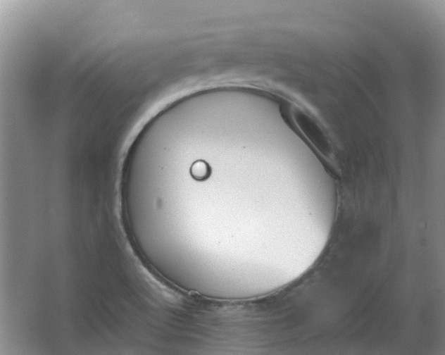 X0000062931512200601271818