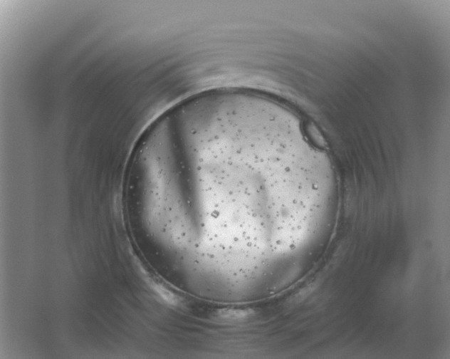 X0000062931513200601271818