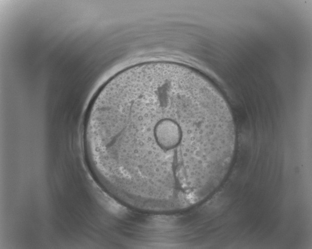 X0000062931514200601271818