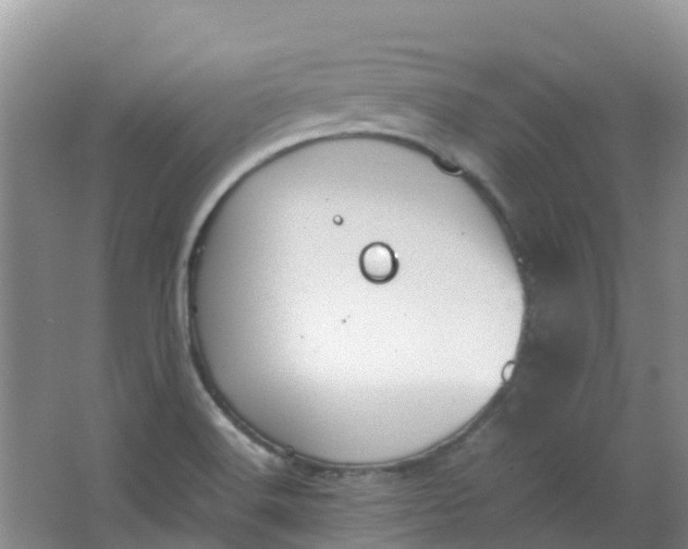 X0000062931516200601271818