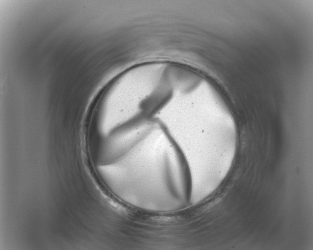 X0000062931517200601271818