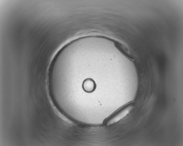 X0000062931518200601271818