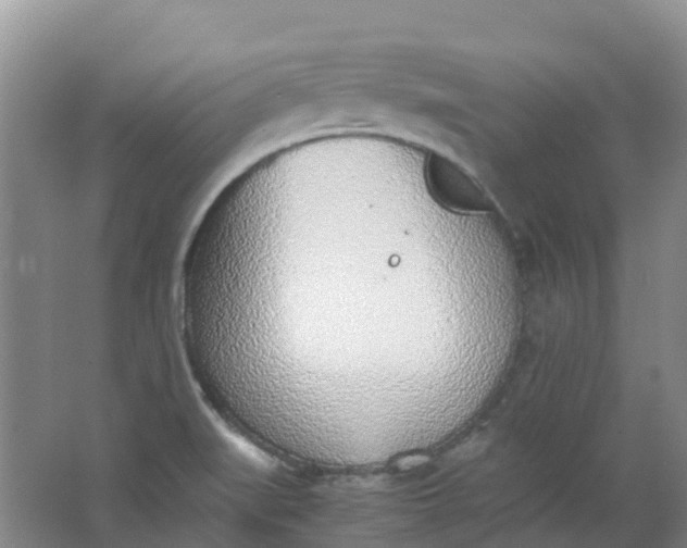 X0000062931519200601271818