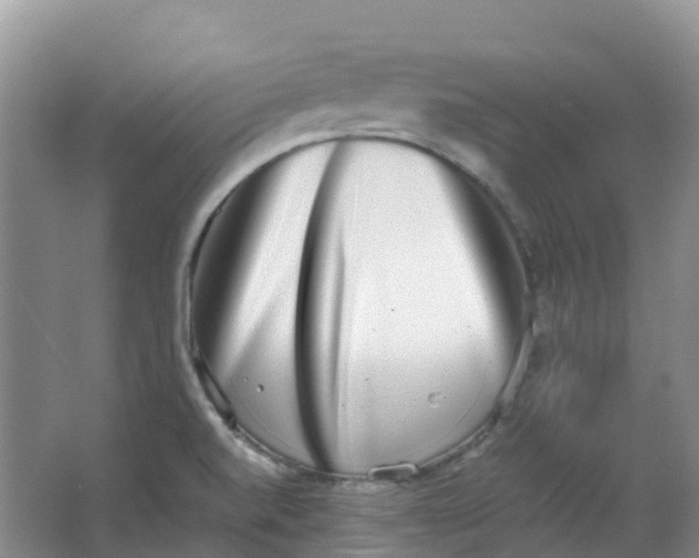 X0000062931520200601271818