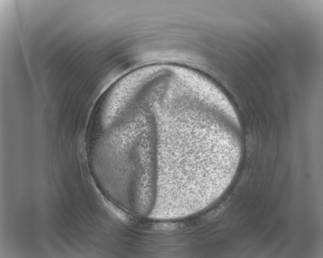 X0000062931521200601271818